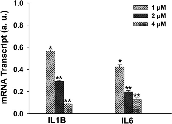 FIGURE 7.