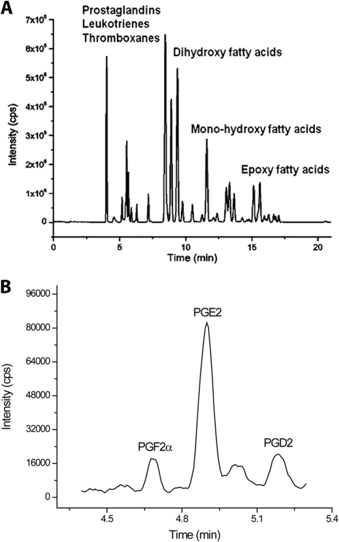 FIGURE 4.