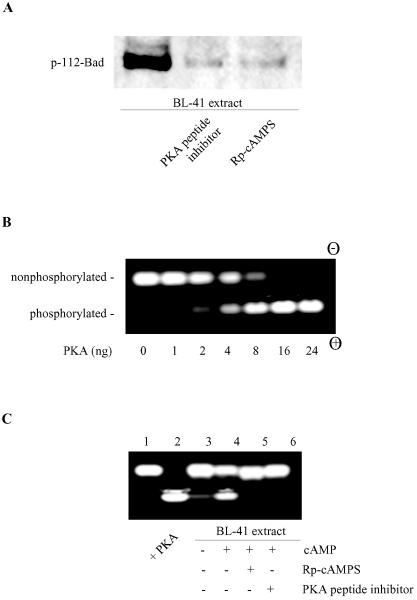 FIG. 5.