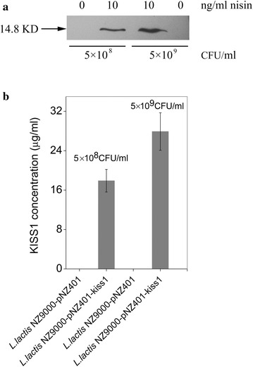 Fig. 3