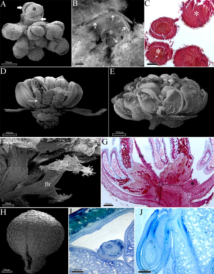 Fig 5