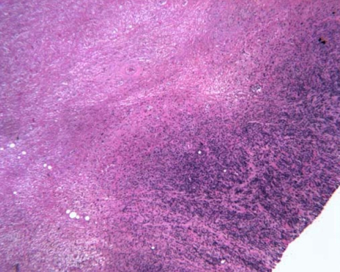 Fig. 3
