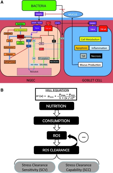 FIG. 1.