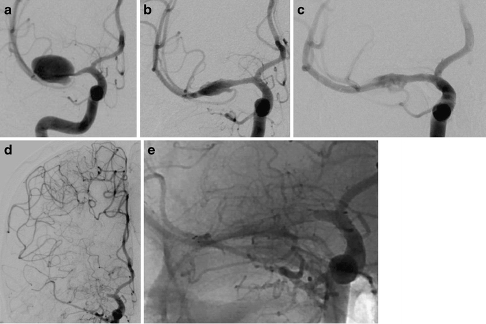 Fig. 8