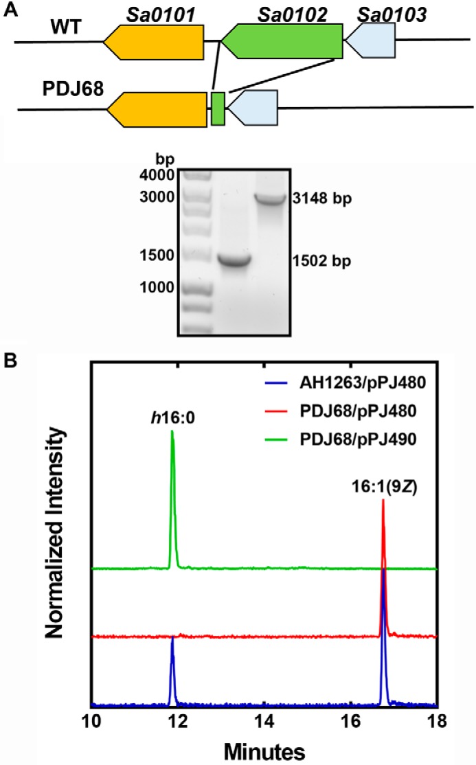 Figure 6.