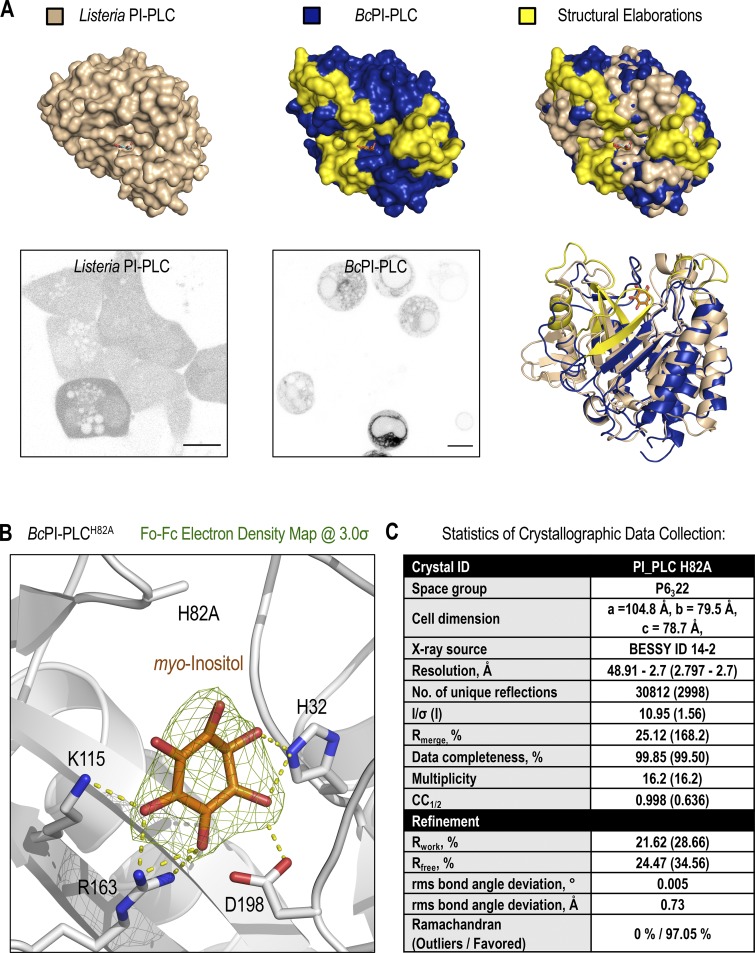 Figure S1.