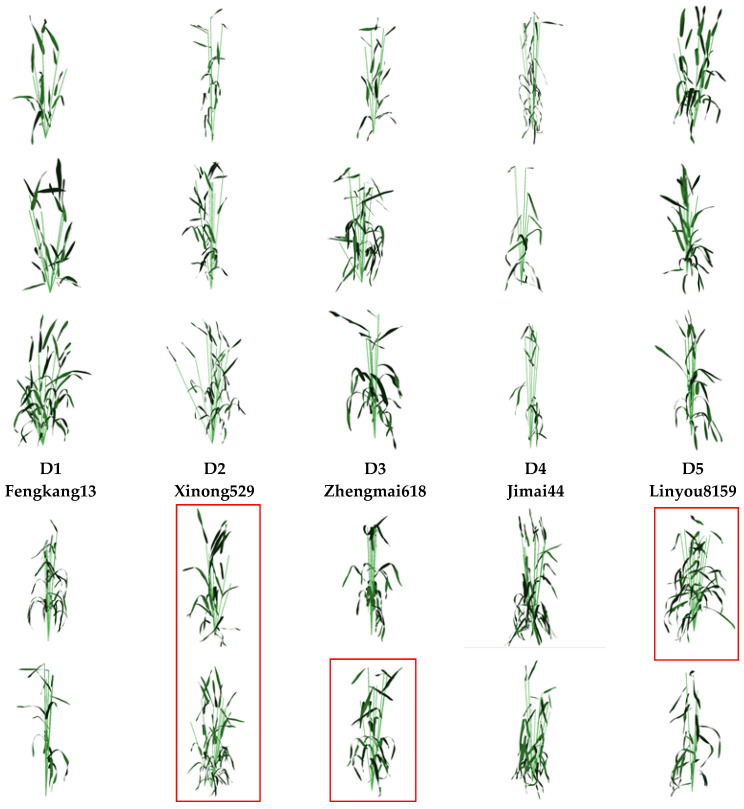 Figure 5