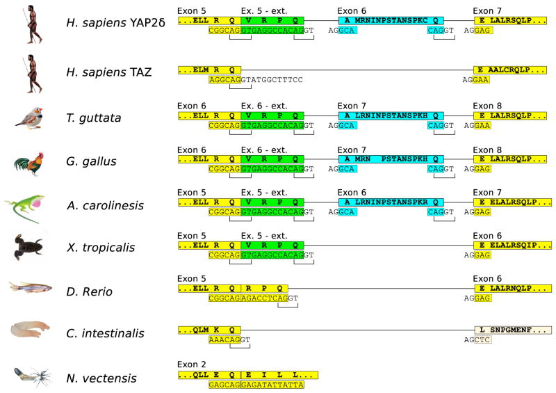 Figure 5