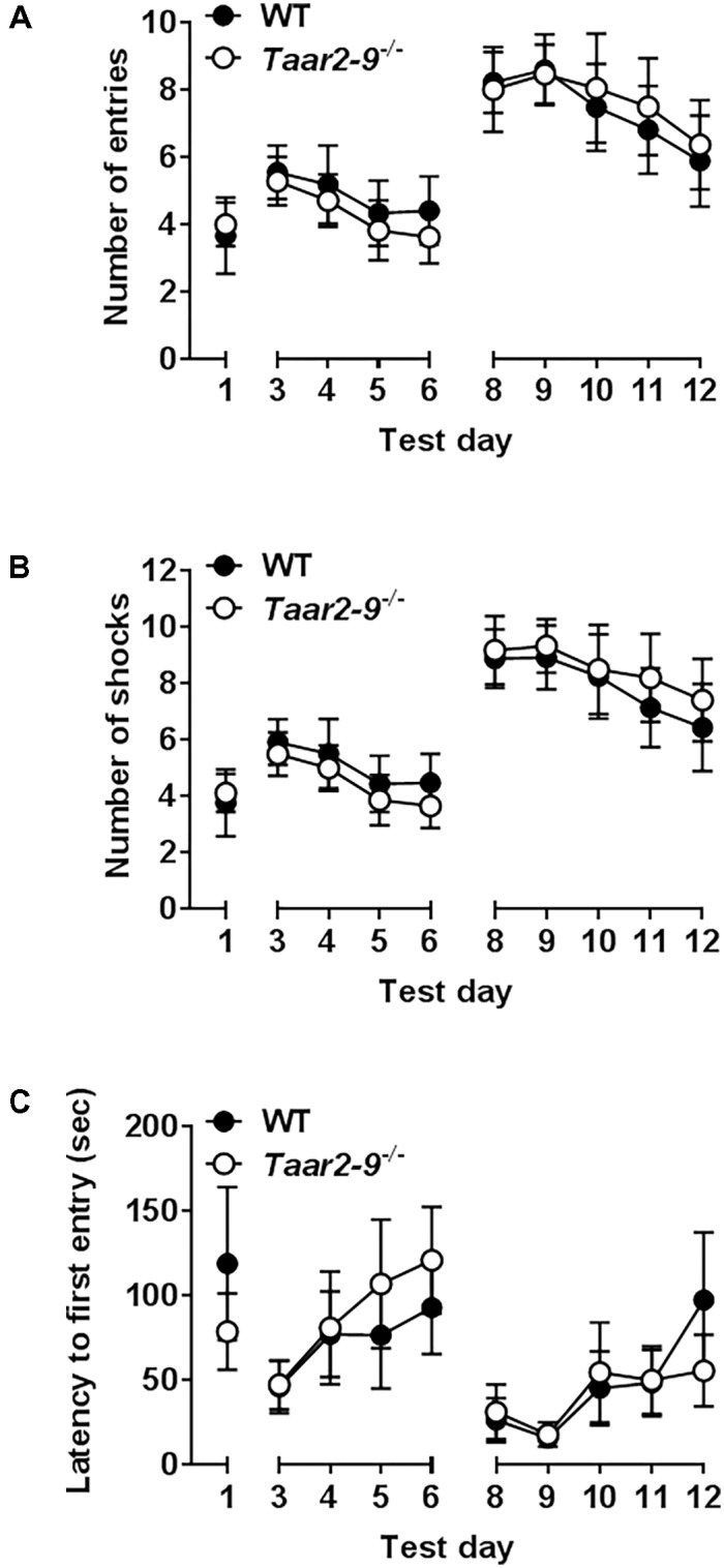 FIGURE 12