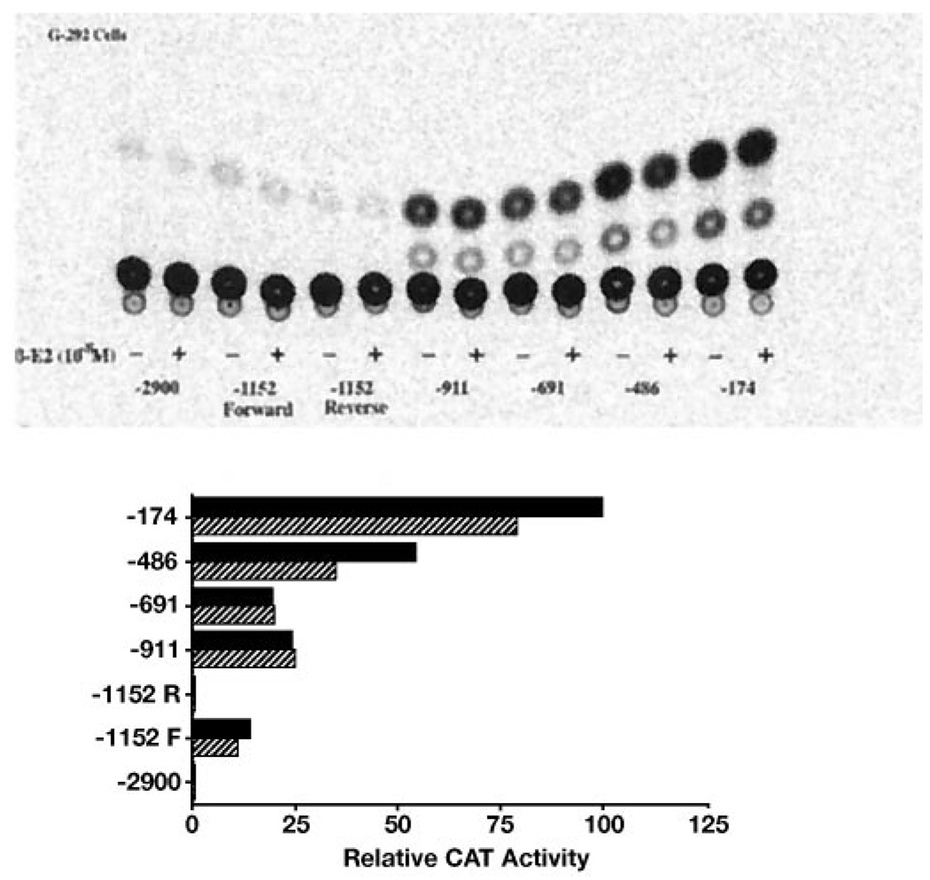 FIG. 6