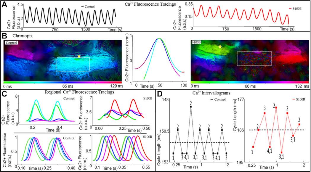 FIGURE 14