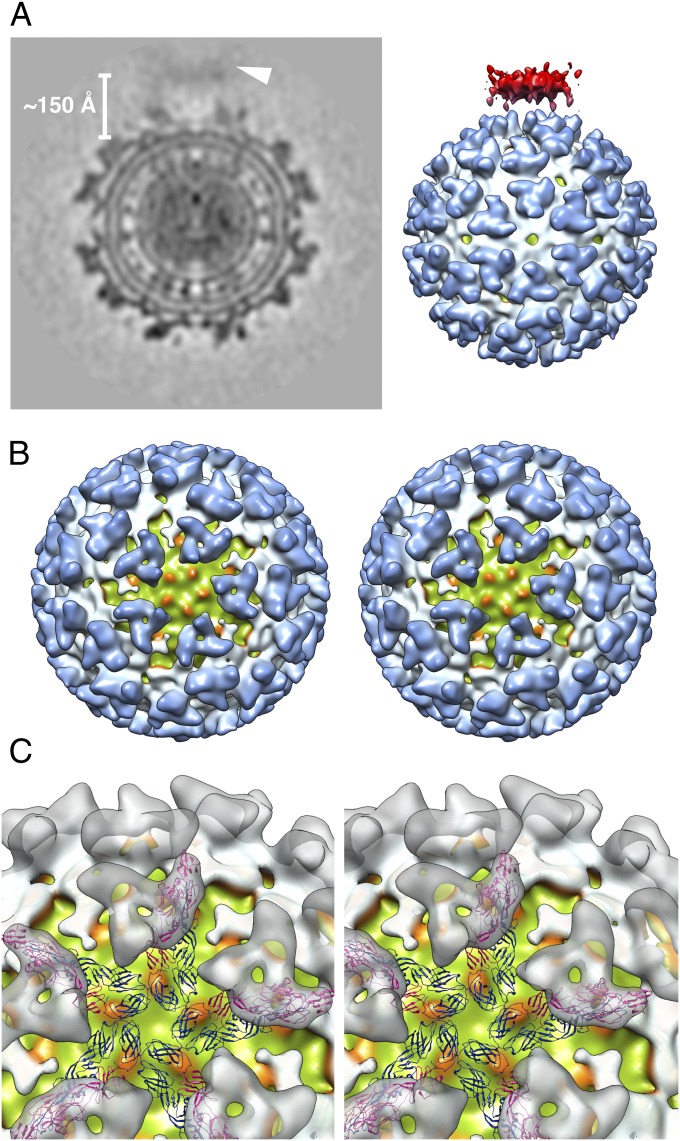 Fig. 5.