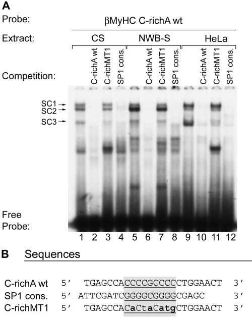 FIG. 5.