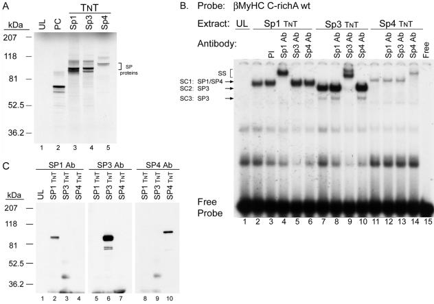 FIG. 6.