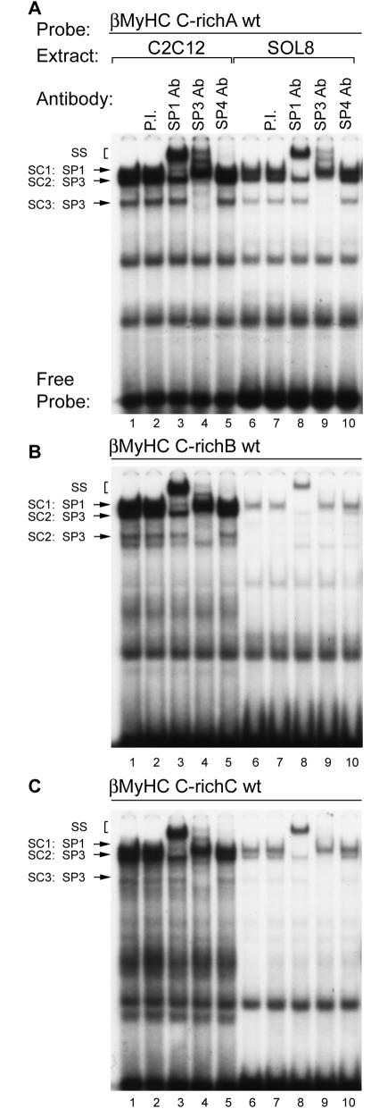 FIG. 9.