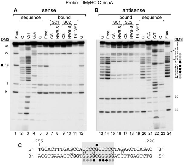 FIG. 4.