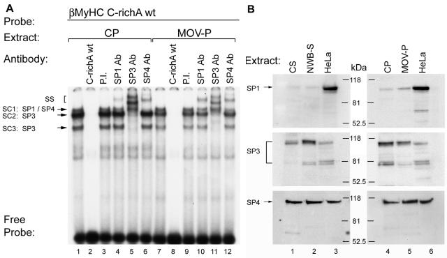 FIG. 8.