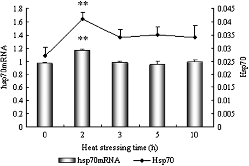 Fig. 2