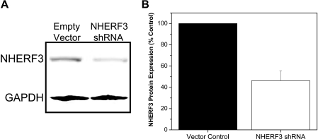 FIGURE 9.