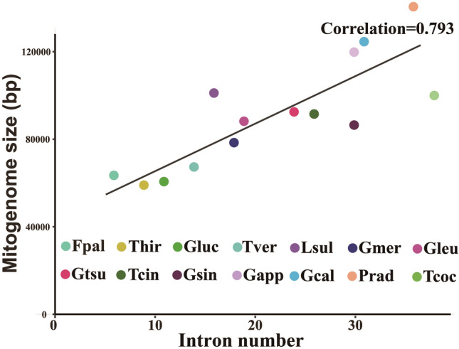 Figure 6