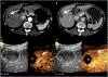 Fig. 5
