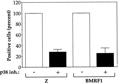 FIG. 8