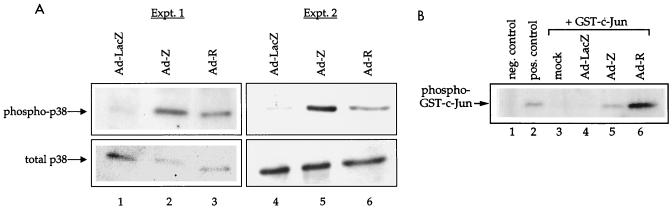 FIG. 6