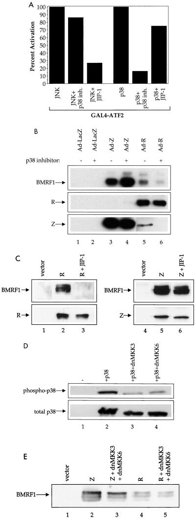 FIG. 7