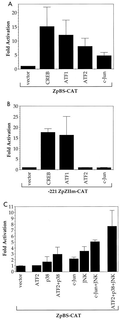 FIG. 3