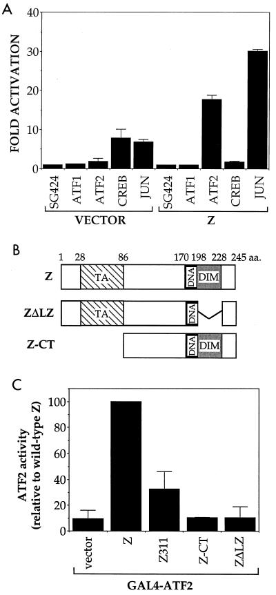 FIG. 5