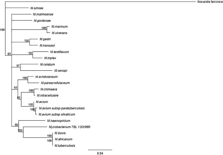 FIG 4