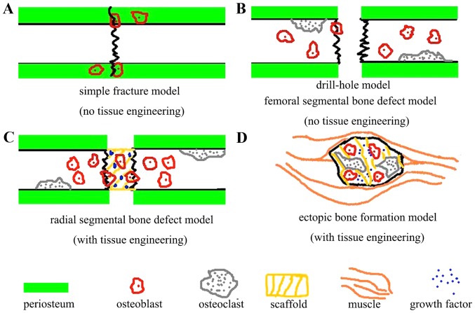 Figure 2.