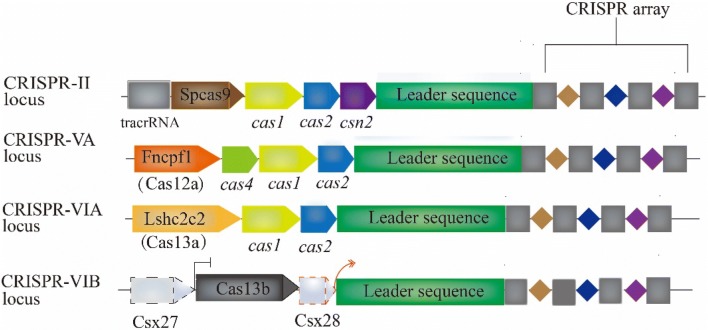 Fig. 1