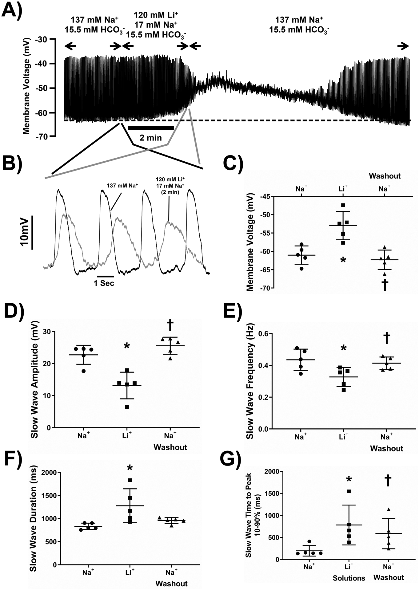 Figure 4: