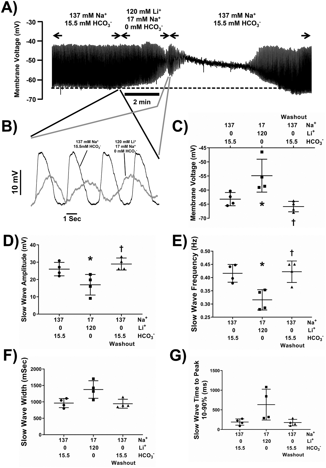 Figure 5: