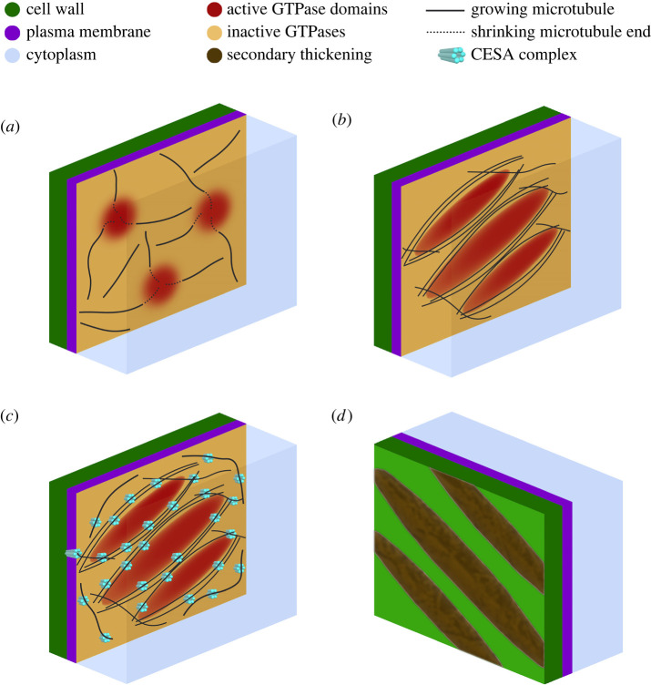 Figure 3. 