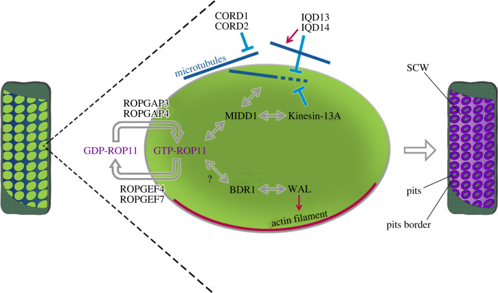 Figure 4. 