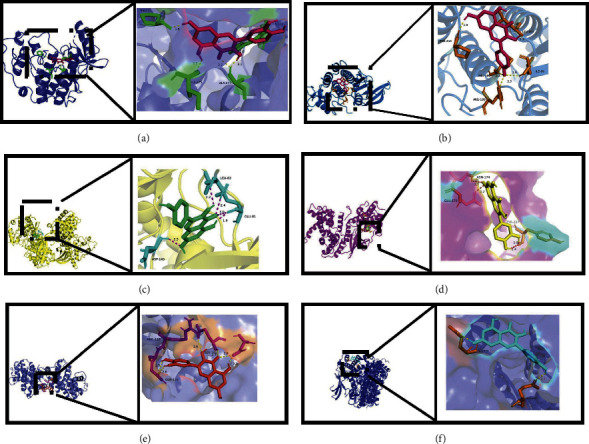 Figure 11