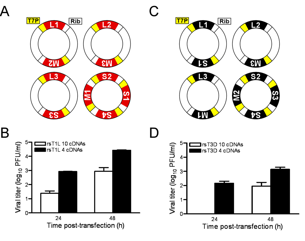 Fig 3