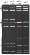 Fig 4