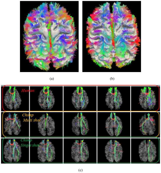 Fig. 15