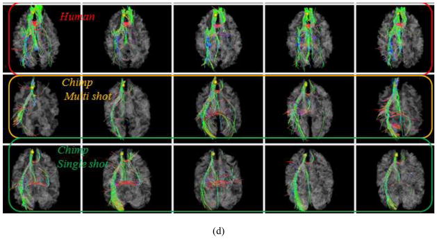 Fig. 15