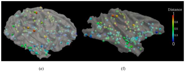 Fig. 12