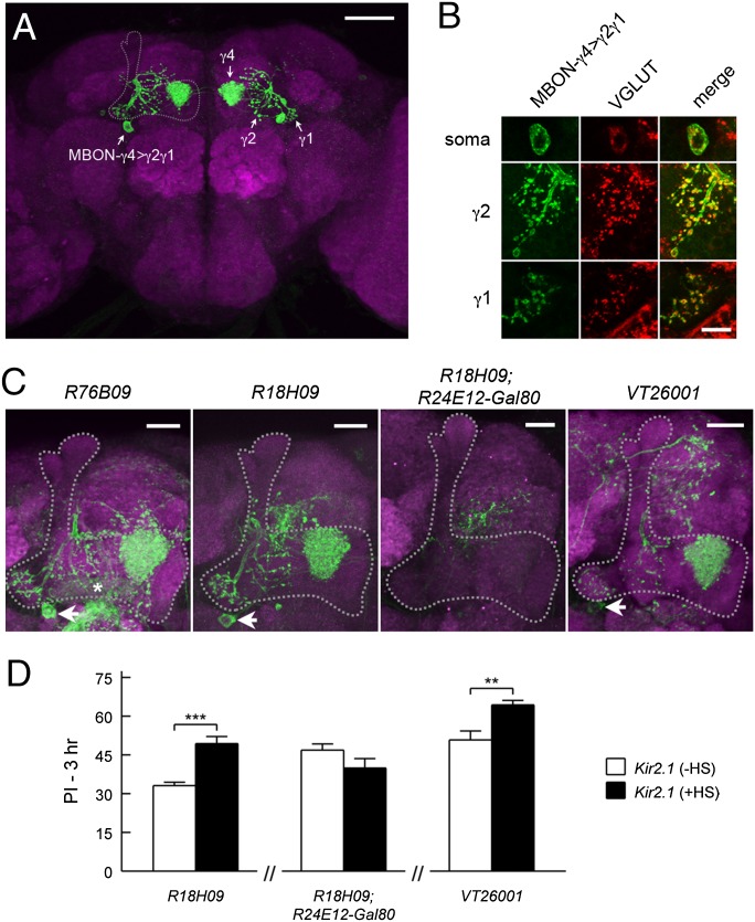 Fig. 4.