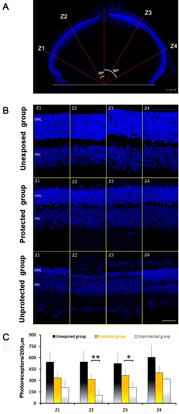 Fig 4