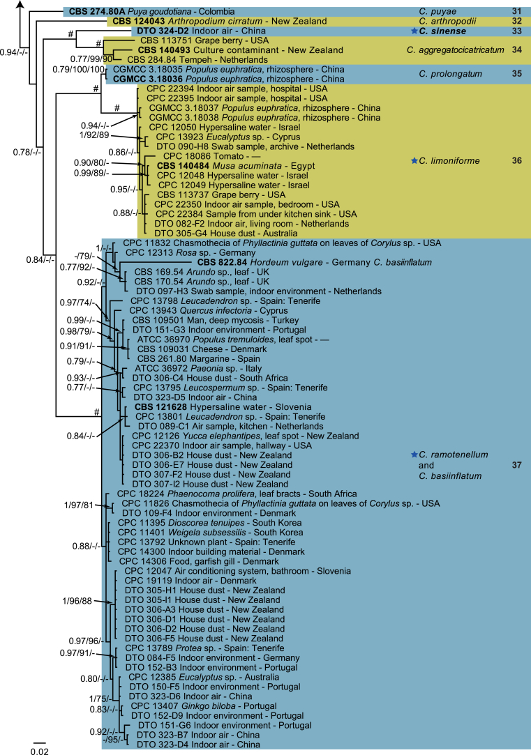 Fig. 2
