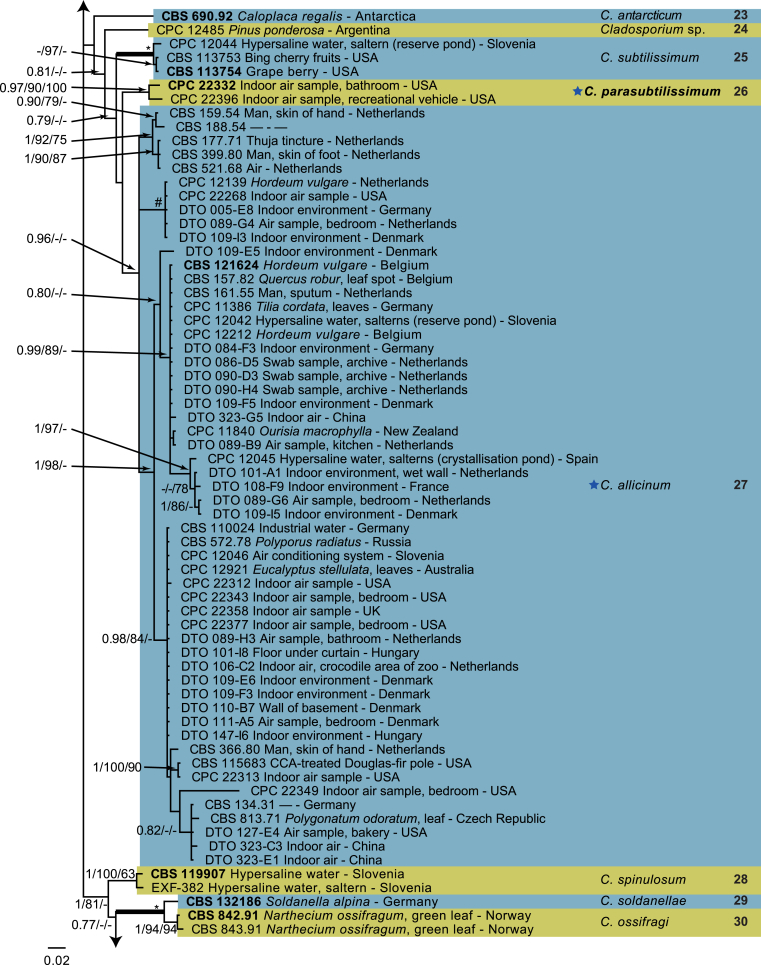 Fig. 2