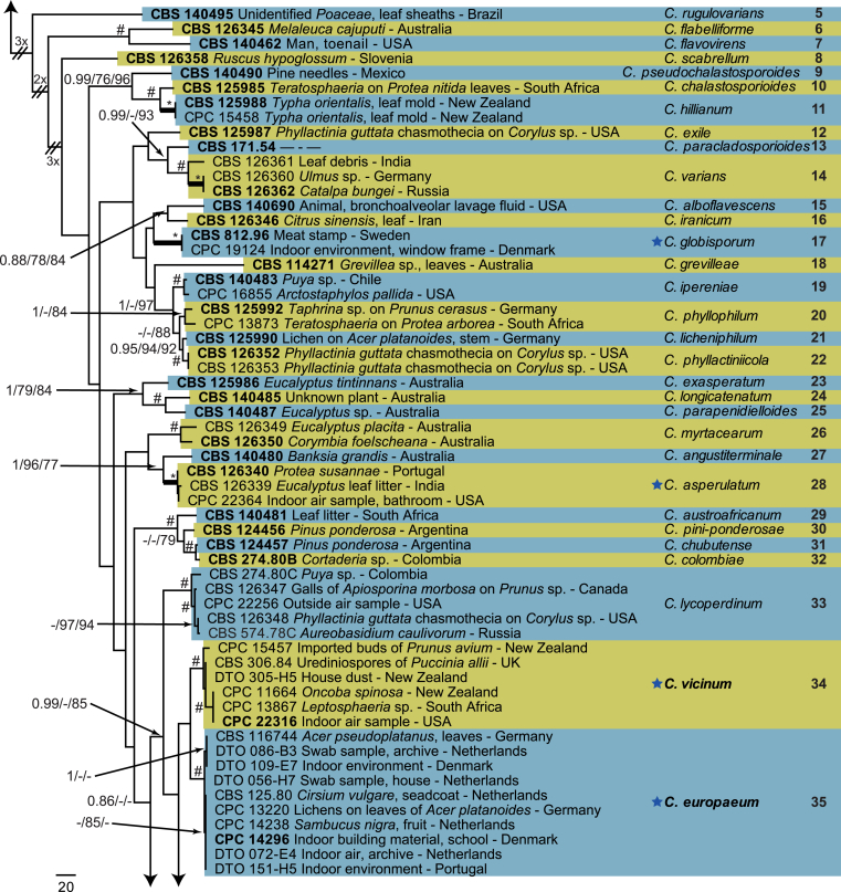 Fig. 1
