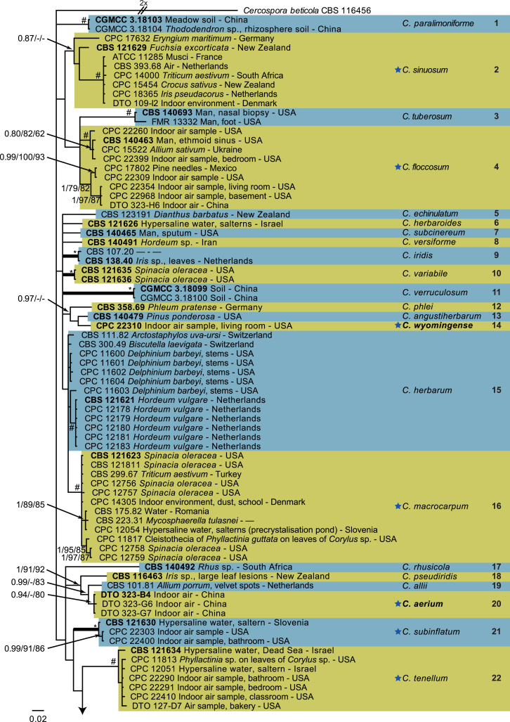 Fig. 2