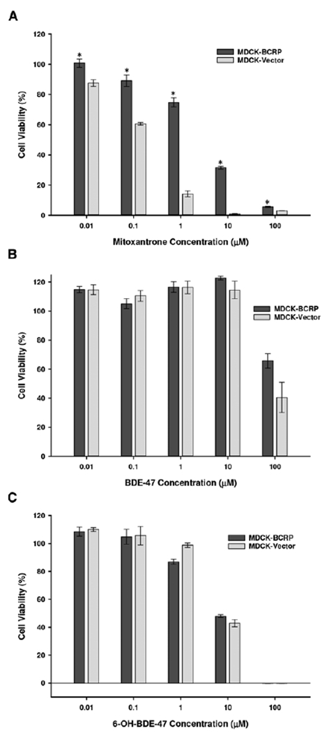 FIG. 7